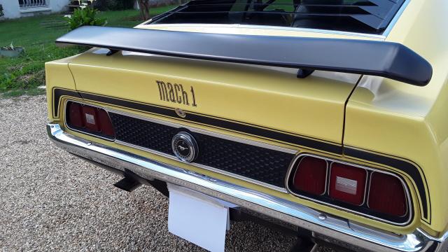 Ford Mustang image 3