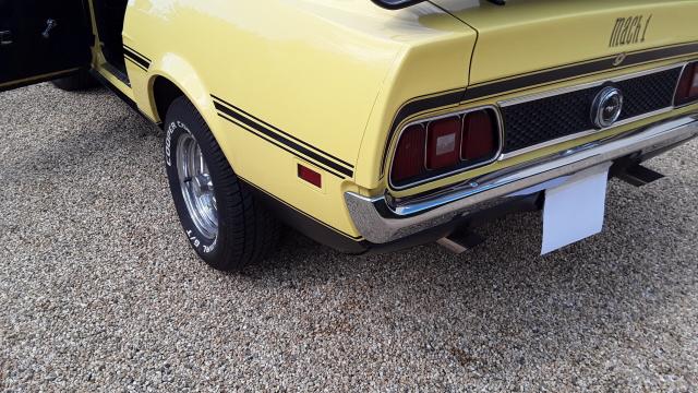 Ford Mustang image 1