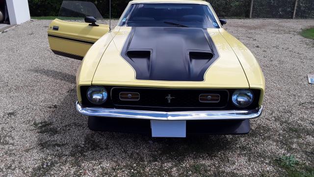 Ford Mustang image 6