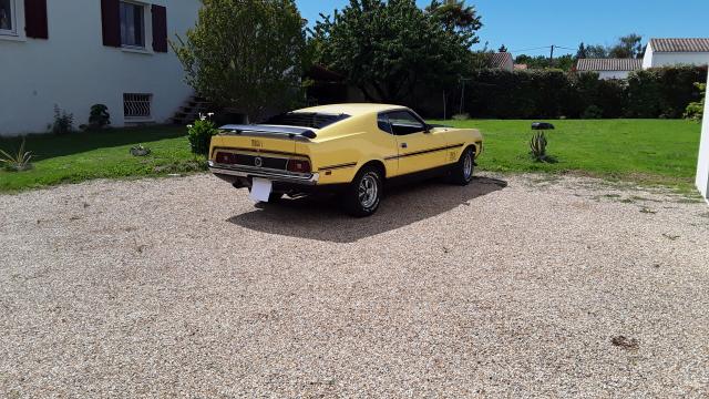 Ford Mustang image 5