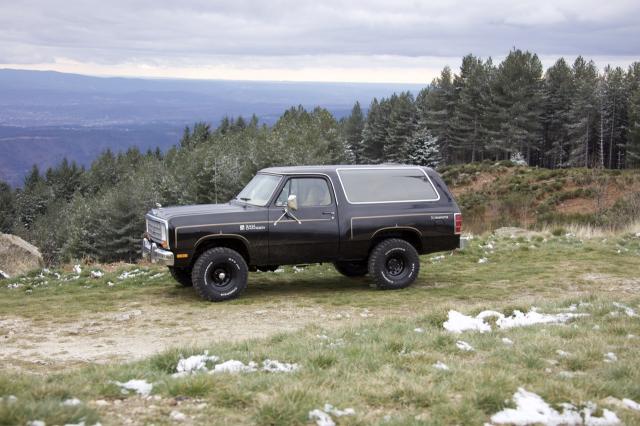 Dodge
