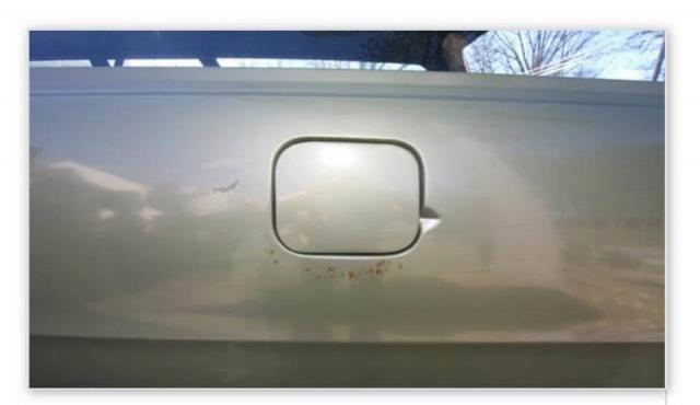 Ford Wagon image 6