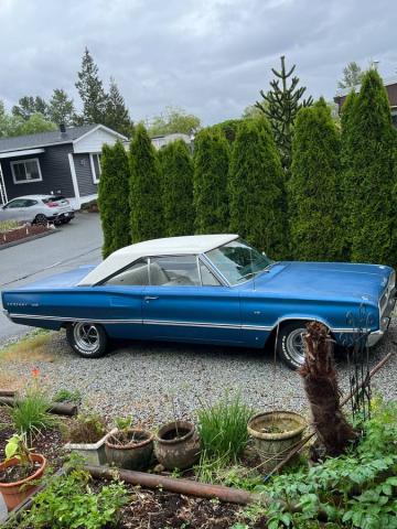 Dodge  image 1