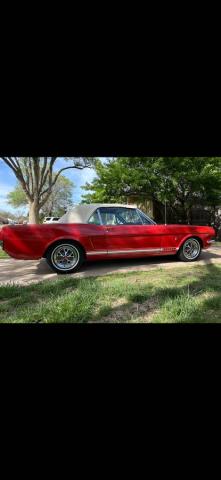 Ford Mustang image 1