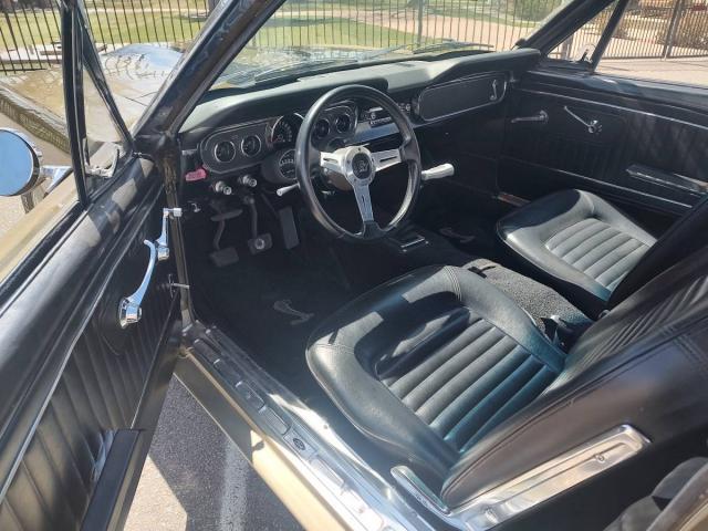 Ford Mustang image 6