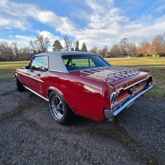 Ford Mustang image 2