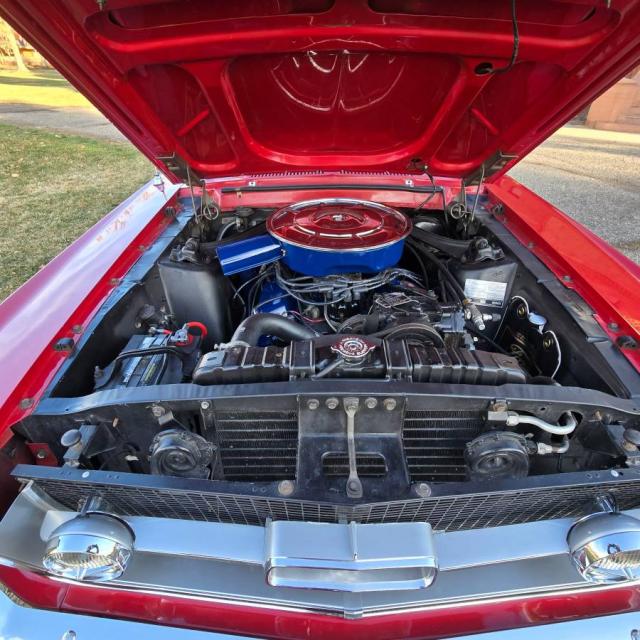 Ford Mustang image 8