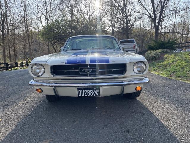 Ford  image 6