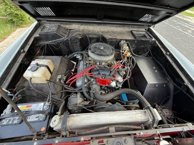 Ford Bronco image 2