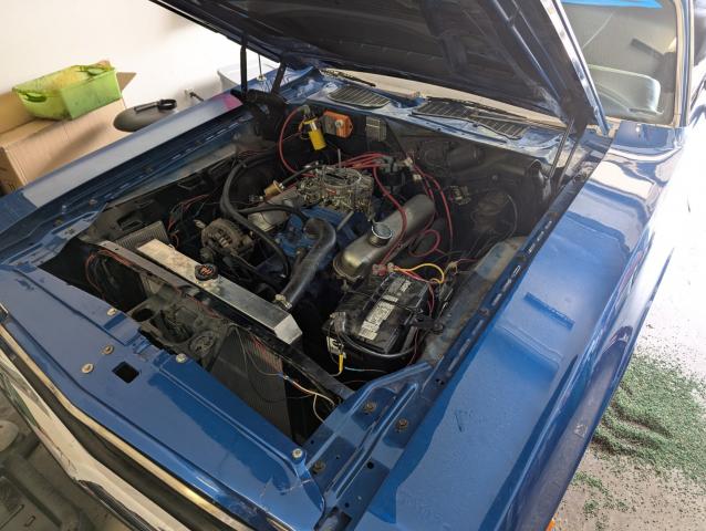 Dodge  image 6