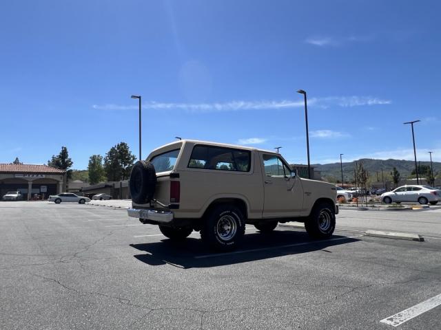 Ford  image 6