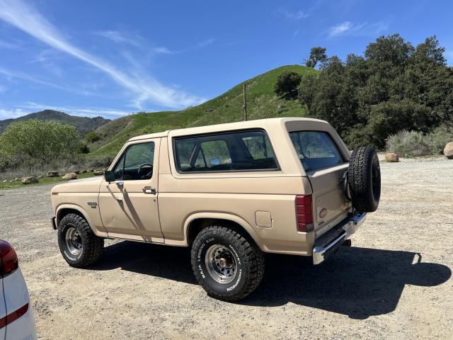 Ford  image 4