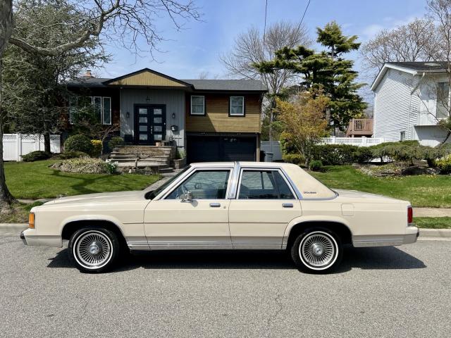 Ford  image 3