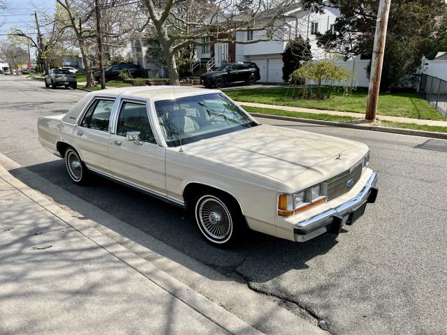 Ford  image 5