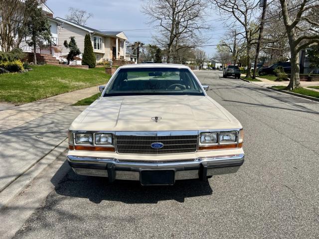 Ford  image 6