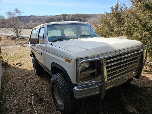 Ford Bronco image 1