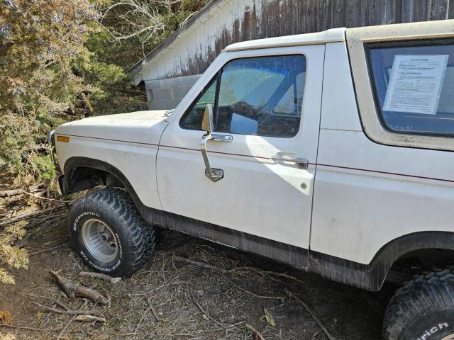 Ford Bronco image 4