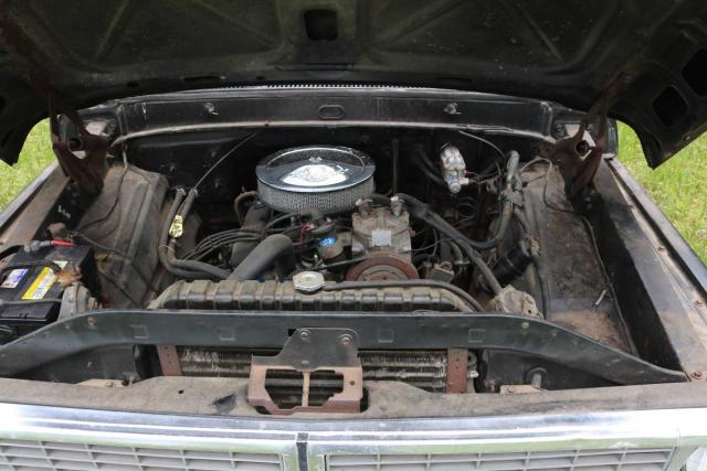 Ford 100 image 3