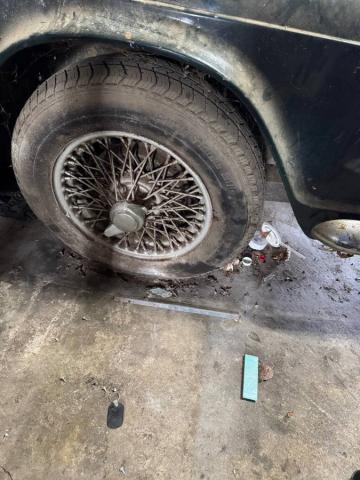 Triumph Tr4a image 1