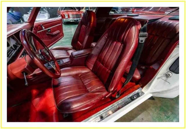 Pontiac Trans Am image 2