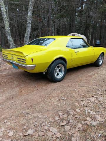 Pontiac Firebird image 7
