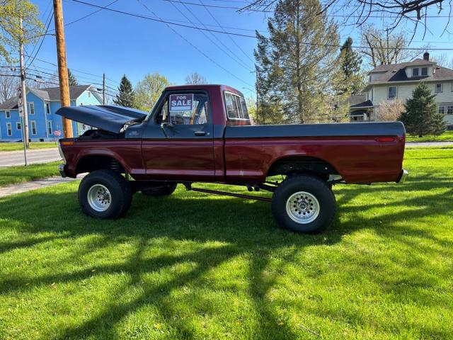 Ford F150 image 3