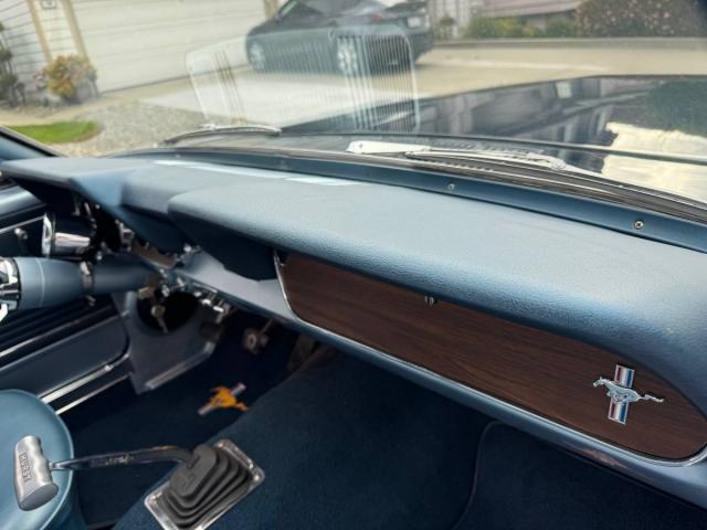 Ford Mustang image 5