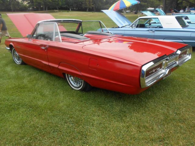 Ford Thunderbird Caonvertibale image 2