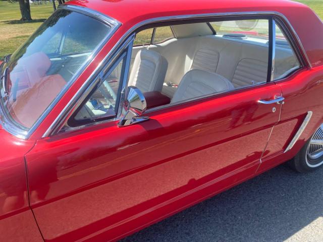 Ford Mustang image 1
