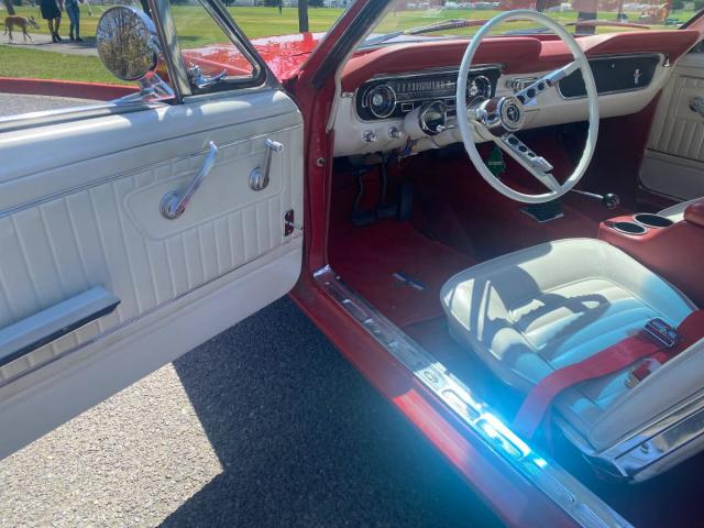 Ford Mustang image 3