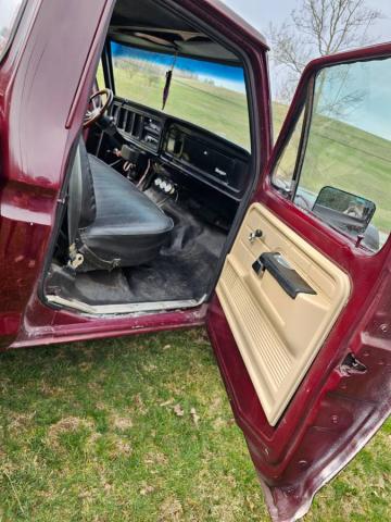 Ford F-150 image 4