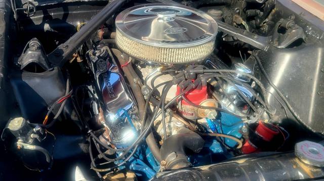 Ford Mustang image 1