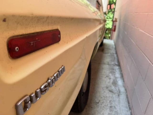 Ford F-100 image 2