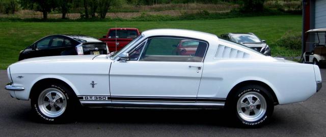 Ford Mustang Fastback image 5