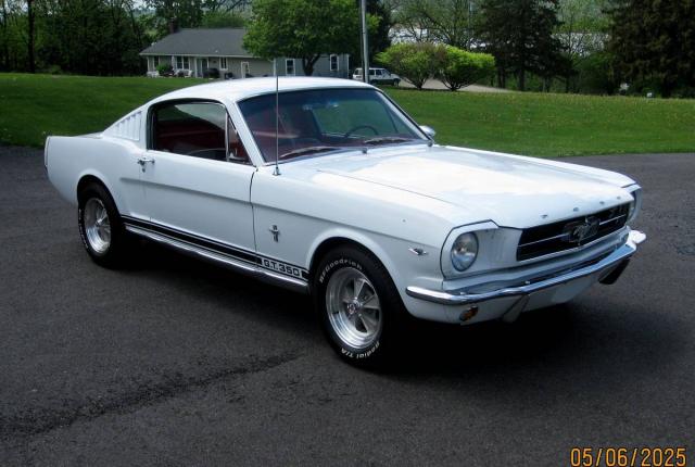 Ford Mustang Fastback image 6