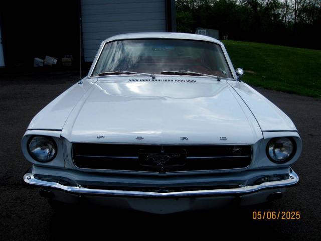 Ford Mustang Fastback image 7