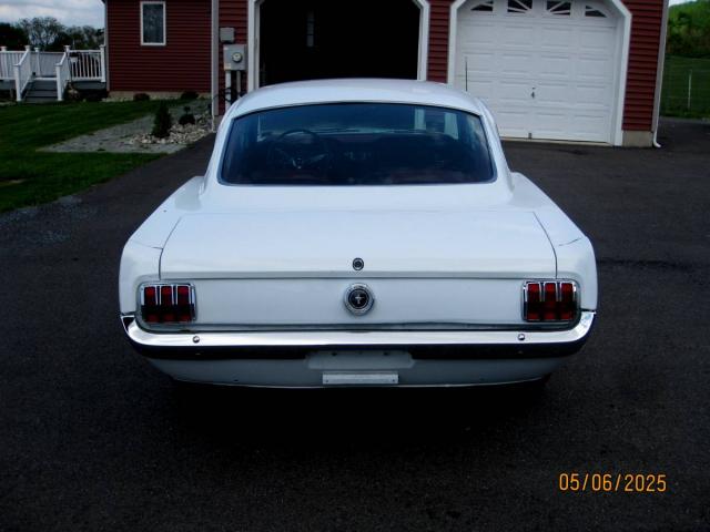 Ford Mustang Fastback image 4