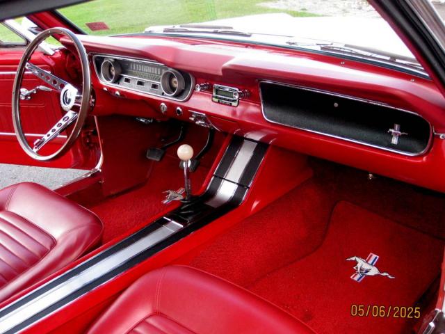 Ford Mustang Fastback image 1