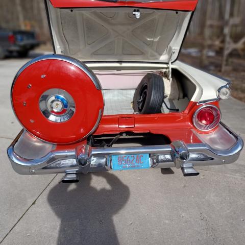 Ford Galaxie image 1