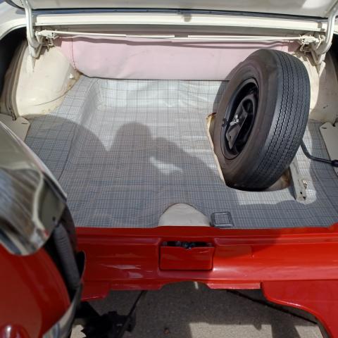 Ford Galaxie image 6