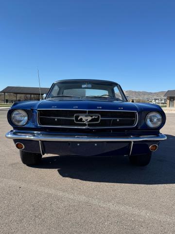 Ford Mustang image 2