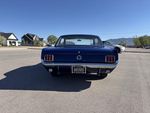 Ford Mustang image 3
