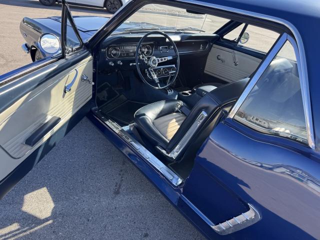 Ford Mustang image 1