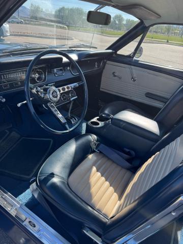 Ford Mustang image 6