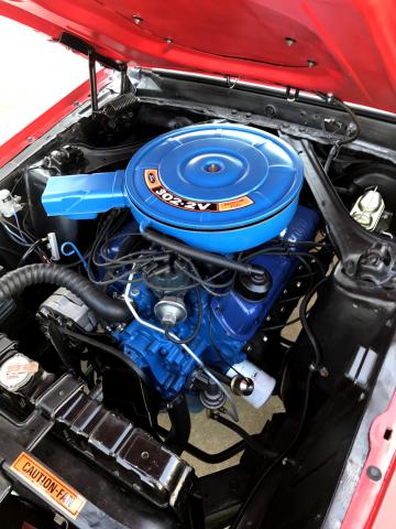 Ford Mustang image 9