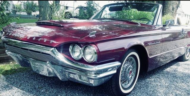 Ford Thunderbird Convertible image 1