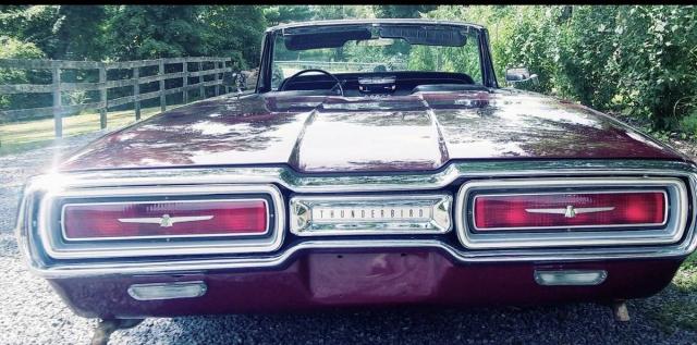 Ford Thunderbird Convertible image 8