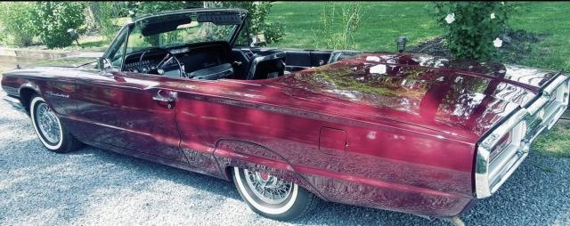Ford Thunderbird Convertible image 7