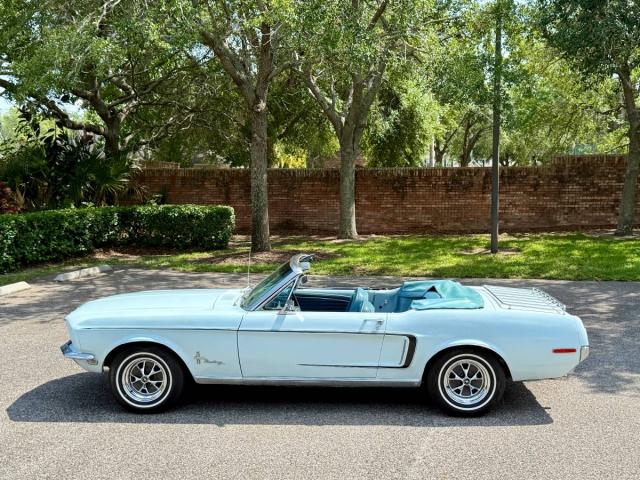 Ford Mustang Convertible image 4
