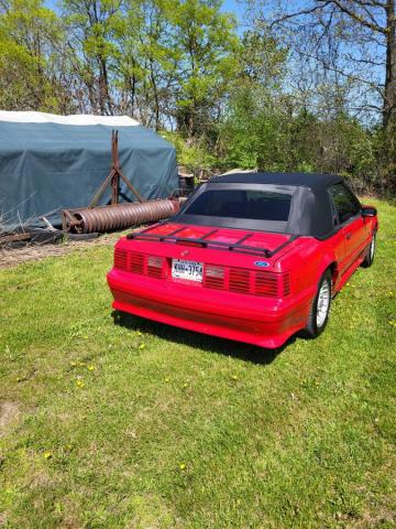 Ford Mustang Gt image 1
